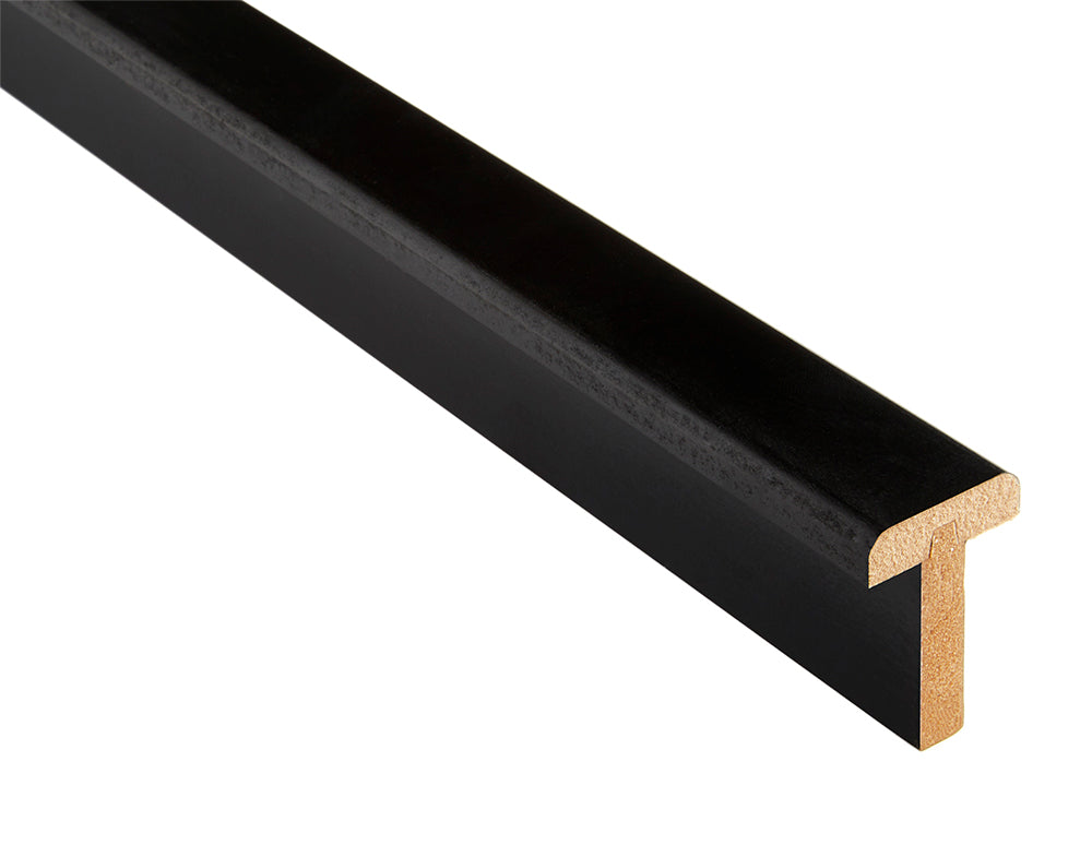 LPD Black Primed T-Lip T Section, Pair Maker